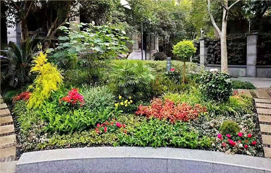 四季新城西区游乐场小花境绿化施工工程 四季新城西区游乐场小花境绿化施工工程
