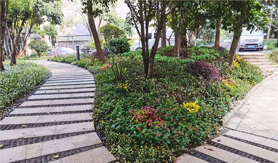 世纪新城东西门绿化改造工程 世纪新城东西门绿化改造工程