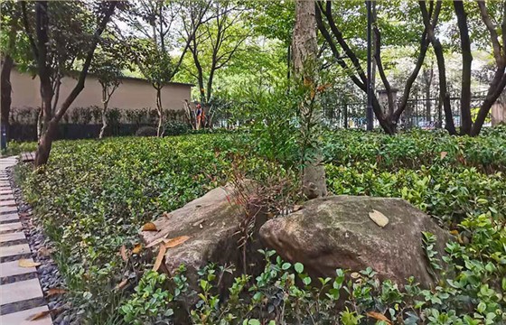 世纪新城东西门绿化改造工程 世纪新城东西门绿化改造工程