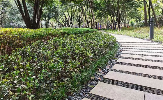 世纪新城东西门绿化改造工程 世纪新城东西门绿化改造工程